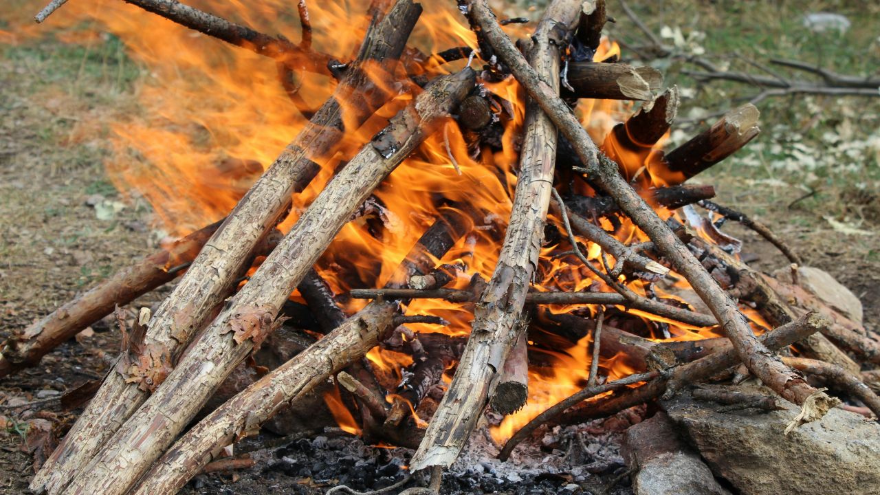 Beech Wood Good for Burning