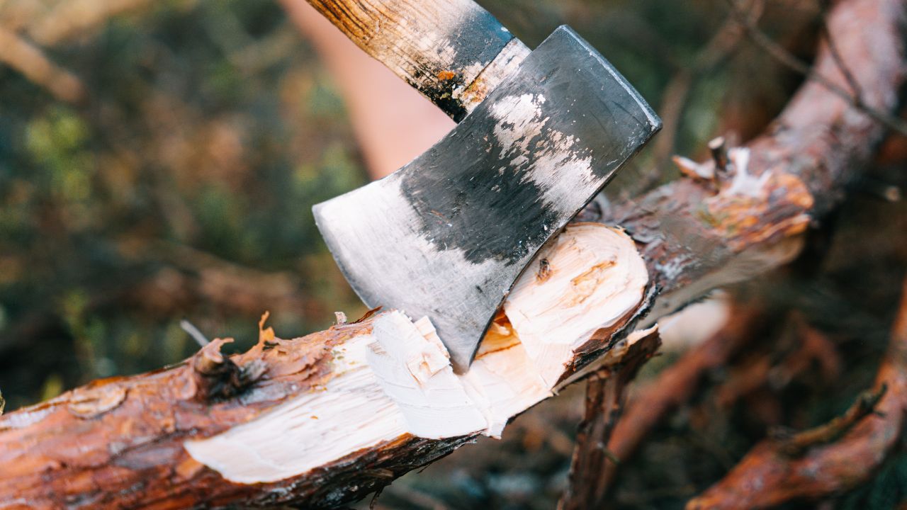 Best Wood Splitting Maul