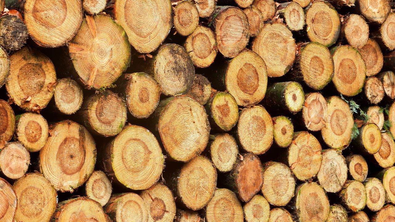 How Many Cubic Feet Are in a Cord of Firewood