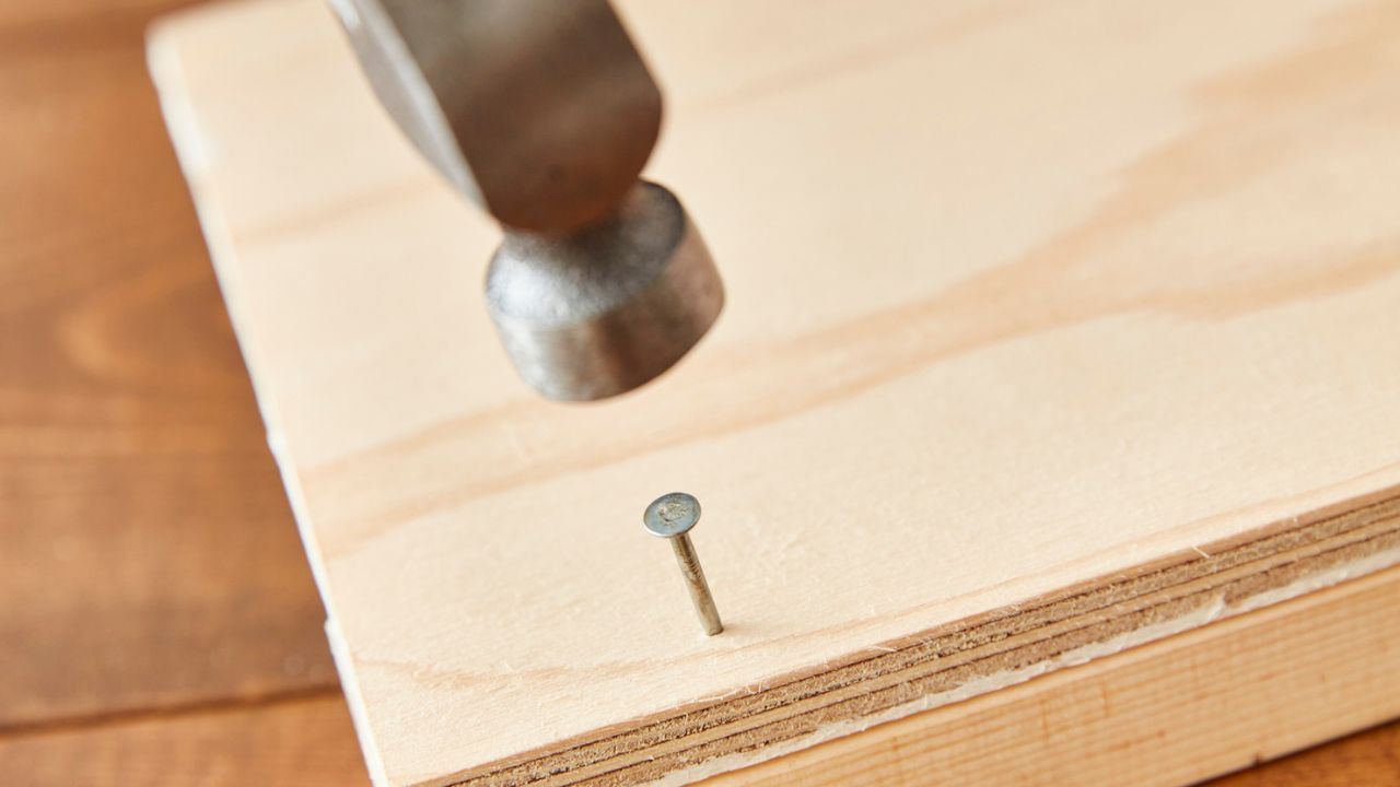 How Much Does MDO Plywood Cost