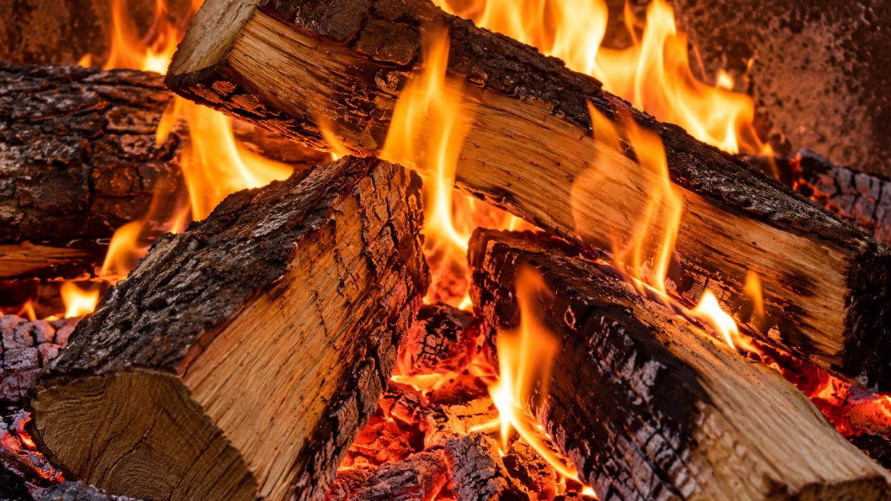 Is locust wood good for burning